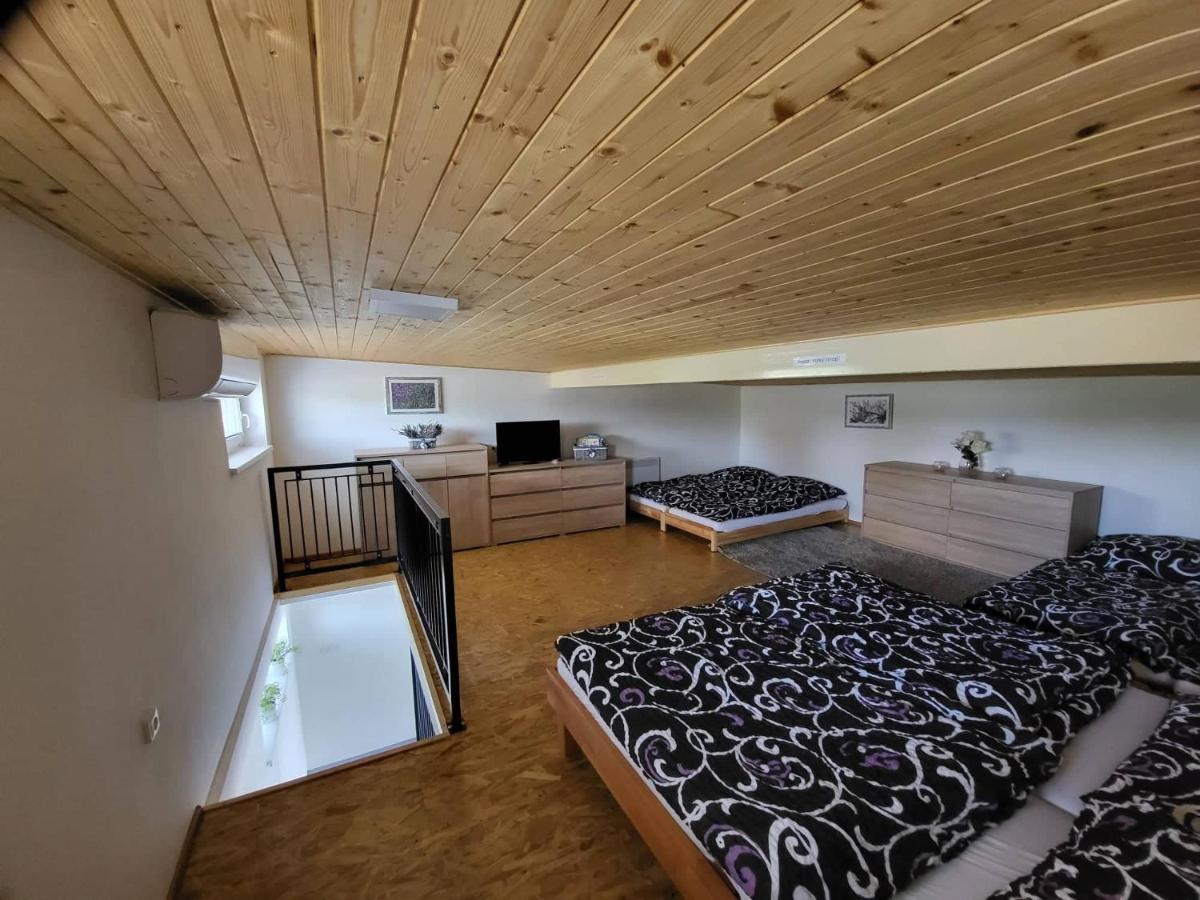 Apartment U Koleji I *