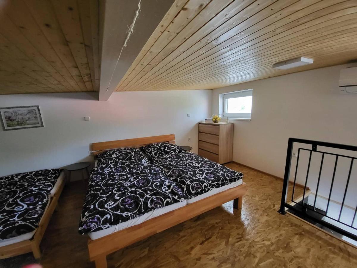 Apartment U Koleji I